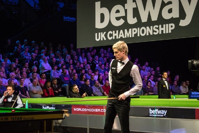 座头鲸游泳 座头鲸游泳