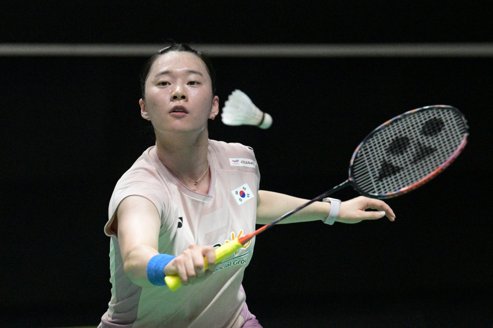 一直是众多 一直是众多