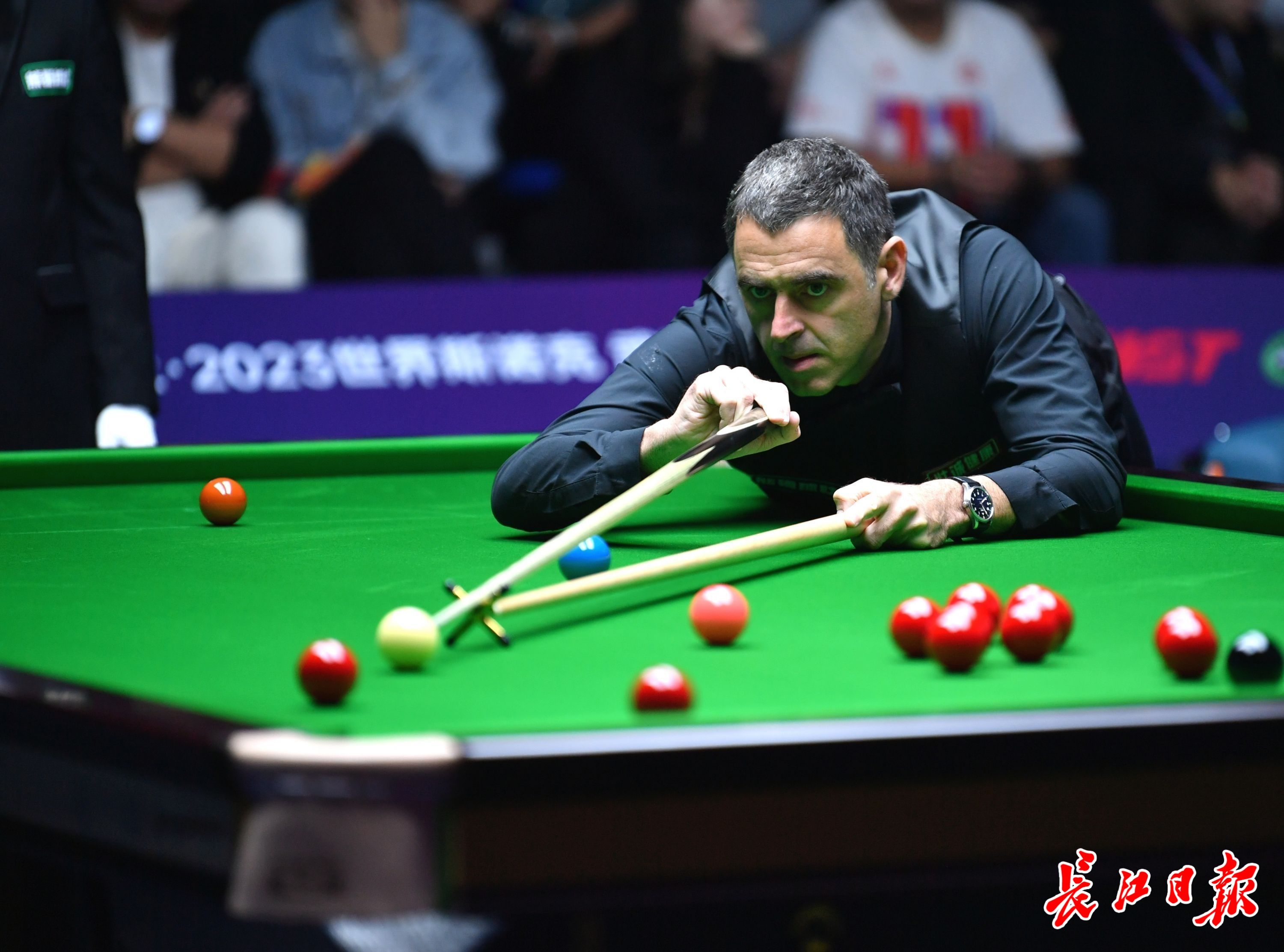 无疑是全场 无疑是全场