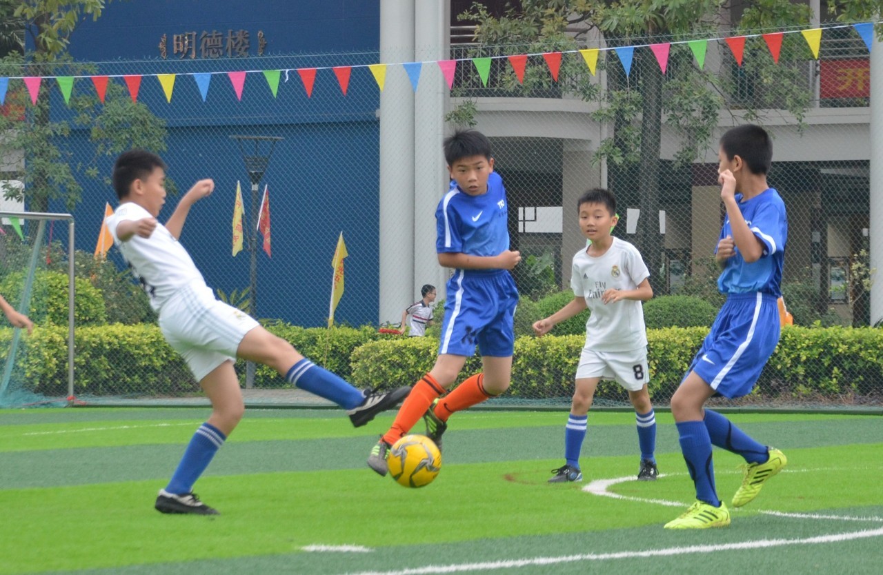 爱好者和职 爱好者和职