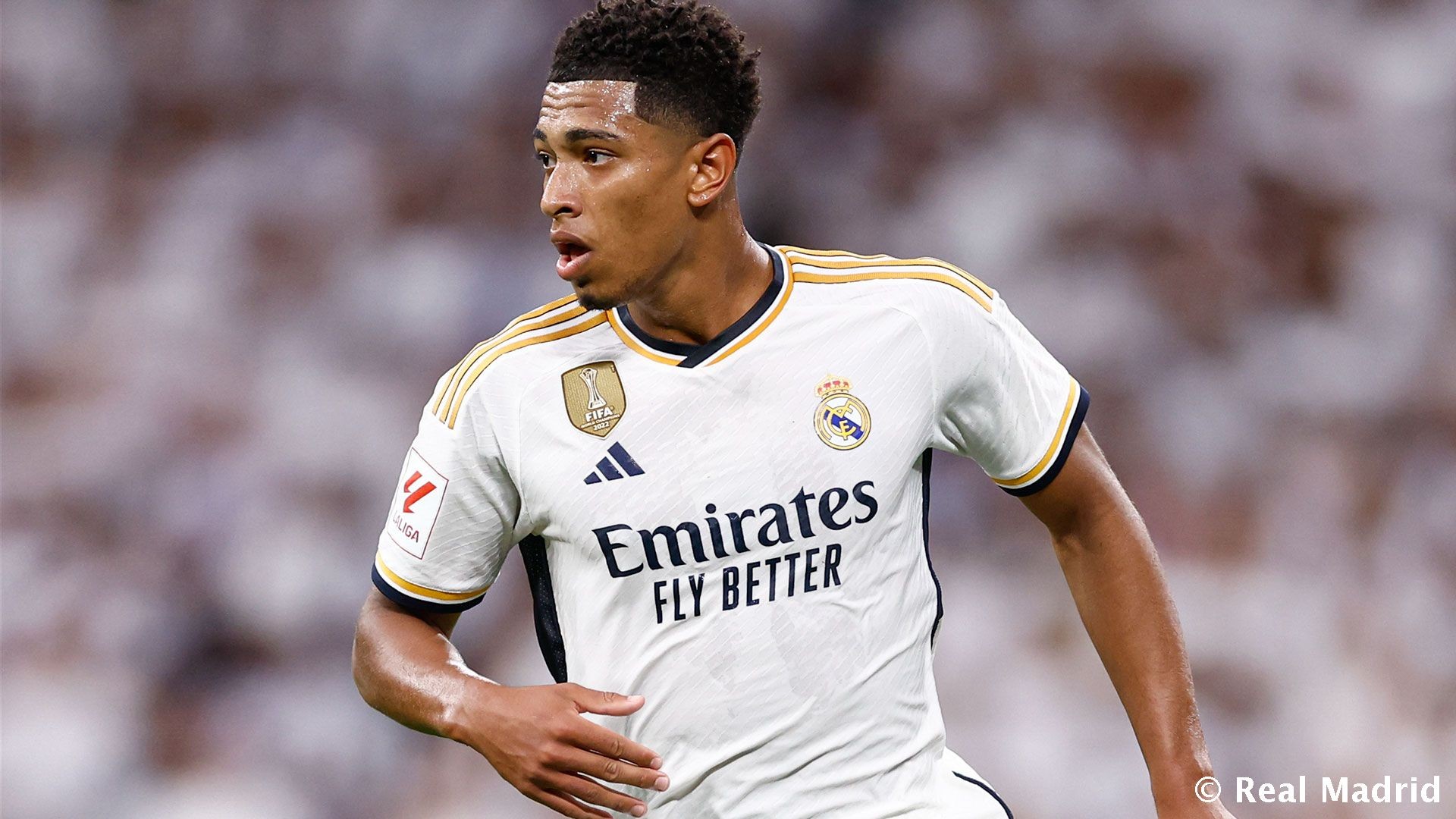 位挡拆选择 位挡拆选择