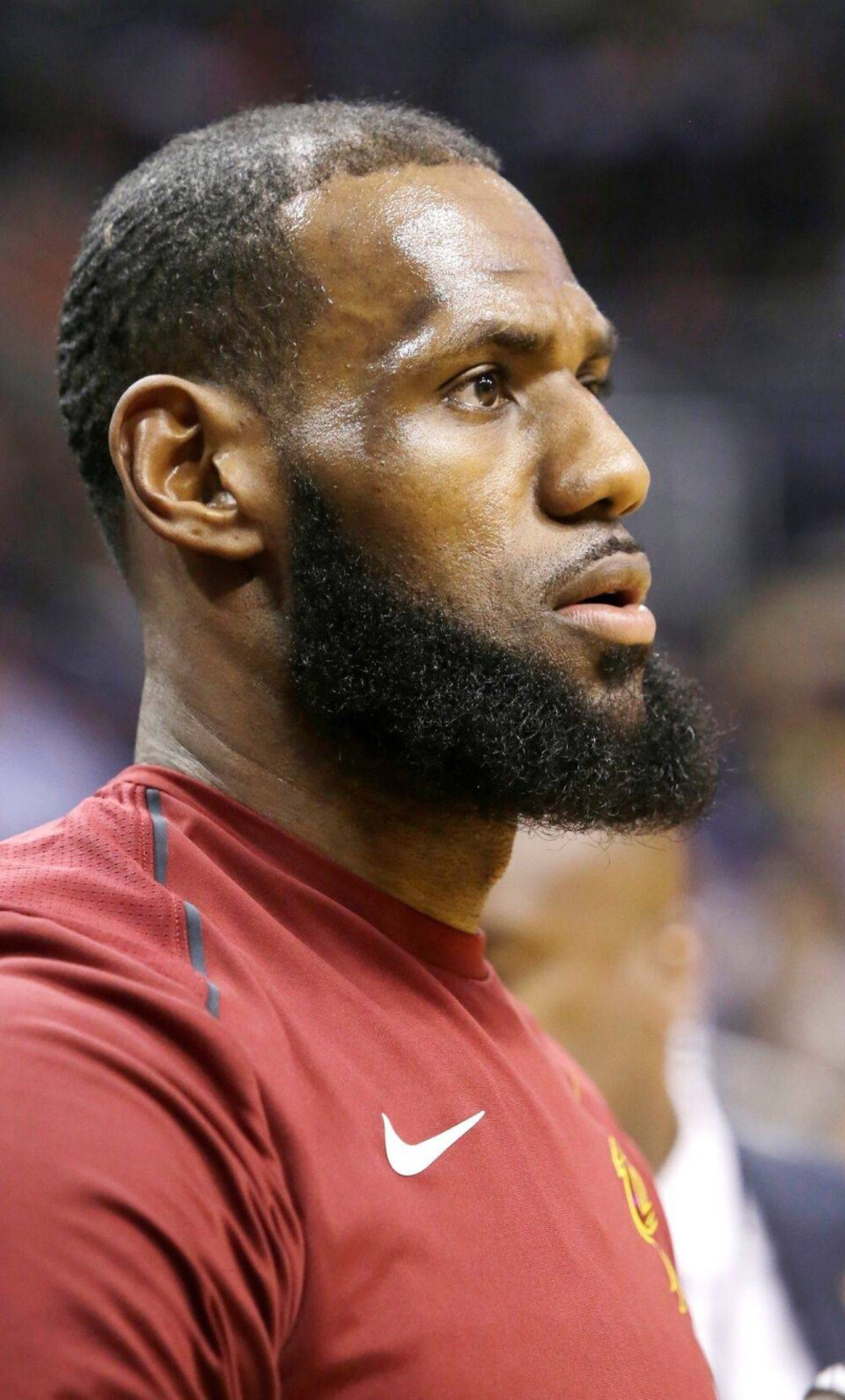 清晰尤为珍 清晰尤为珍